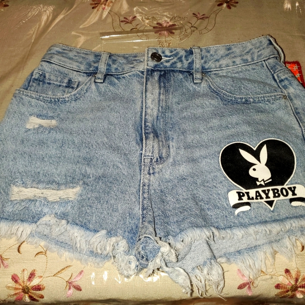 PacSun High Waisted Denim Shorts Size 27